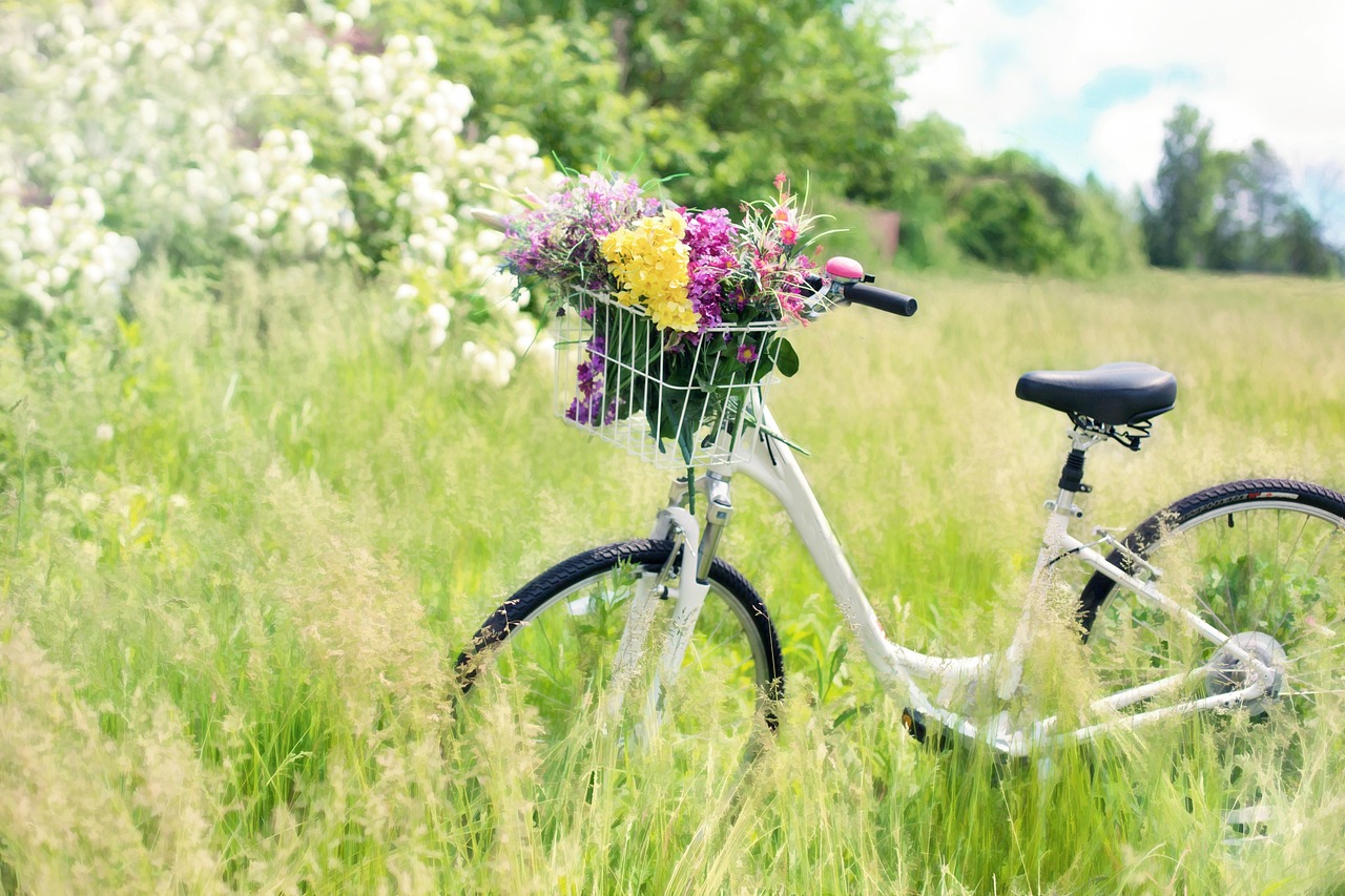 Vélo et bicyclette