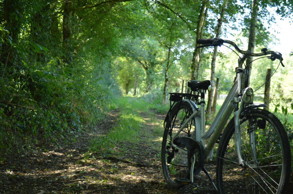 Vélo 
